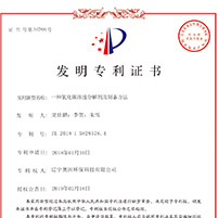 长效净醛王专利证书
